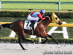 カラープリント(アルミ枠付き)2015年4月26日東京12R 4歳上1000万下(マノワール)