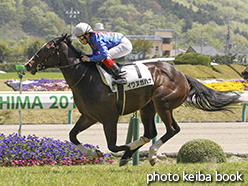 カラープリント(アルミ枠なし)2015年4月26日福島6R 3歳未勝利(イワヌガハナ)