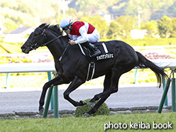 カラープリント(アルミ枠なし)2015年4月26日福島12R 川俣特別(ショウナンマルシェ)