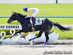 カラープリント(アルミ枠なし)2015年5月2日京都1R 3歳未勝利(ダイメイコンドル)