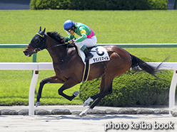 カラーパネル2015年5月2日京都2R 3歳未勝利(タガノスマイル)