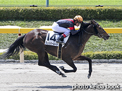 カラープリント(アルミ枠なし)2015年5月2日東京1R 3歳未勝利(クリッパールート)