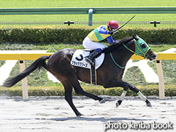 カラーパネル2015年5月2日東京3R 3歳未勝利(ブラックブリーズ)