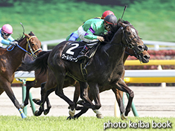 カラーパネル2015年5月2日東京9R 陣馬特別(ワールドレーヴ)