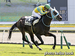 カラープリント(アルミ枠なし)2015年5月2日新潟1R 障害未勝利(キングブラーボ)