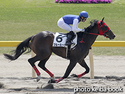 カラーパネル2015年5月2日新潟2R 3歳未勝利(ブルールーク)