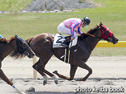 カラープリント(アルミ枠なし)2015年5月2日新潟3R 3歳未勝利(メイスンヴィーナス)