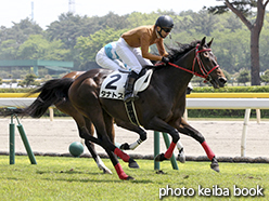 カラープリント(アルミ枠なし)2015年5月2日新潟4R 障害オープン(タナトス)