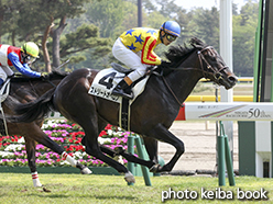 カラープリント(アルミ枠なし)2015年5月2日新潟6R 3歳未勝利(ストリートオベロン)