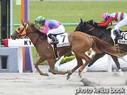 カラーパネル2015年5月3日京都7R 4歳上500万下(メイショウブーケ)