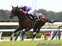 カラープリント(アルミ枠なし)2015年5月3日京都8R 鷹ケ峰特別(メイショウライナー)