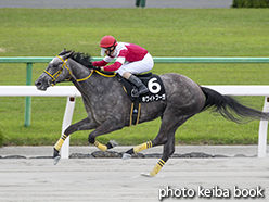 カラープリント(アルミ枠付き)2015年5月3日京都10R 端午ステークス(ホワイトフーガ)