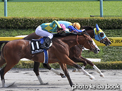 カラープリント(アルミ枠なし)2015年5月3日東京10R オアシスステークス(カチューシャ)