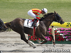 カラープリント(アルミ枠なし)2015年5月3日新潟9R 4歳上500万下(ザンブローネ)