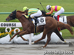 カラープリント(アルミ枠付き)2015年5月9日京都2R 3歳未勝利(マヤノパーチェム)