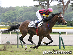 カラープリント(アルミ枠なし)2015年5月9日新潟1R 障害オープン(エーシンホワイティ)