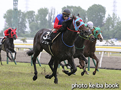 カラープリント(アルミ枠付き)2015年5月9日新潟10R 二王子特別(リノリオ)