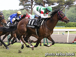 カラーパネル2015年5月9日新潟12R 高田城特別(フェルメッツァ)