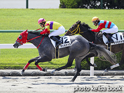 カラープリント(アルミ枠付き)2015年5月10日京都1R 3歳未勝利(マッカナバラ)