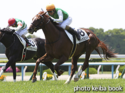 カラーパネル2015年5月10日京都4R 3歳未勝利(サラトガスピリット)