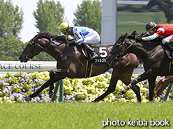 カラーパネル2015年5月10日京都8R 矢車賞(フォルゴラーレ)