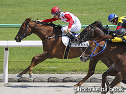 カラープリント(アルミ枠付き)2015年5月10日京都9R 4歳上500万下(サウンドアドバイス)