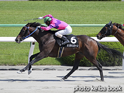 カラープリント(アルミ枠付き)2015年5月10日京都10R 桃山ステークス(ナリタハリケーン)