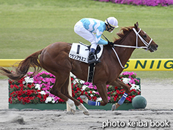 カラープリント(アルミ枠付き)2015年5月10日新潟1R 3歳未勝利(グランアラミス)