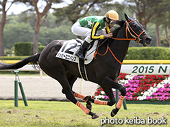 カラーパネル2015年5月10日新潟2R 3歳未勝利(ハッピーユニバンス)