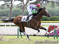 カラーパネル2015年5月10日新潟4R 障害未勝利(ヒラボクインパクト)