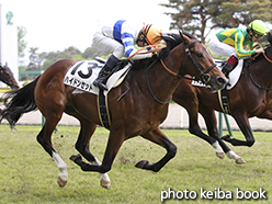 カラープリント(アルミ枠付き)2015年5月10日新潟5R 3歳未勝利(ハイドンセット)