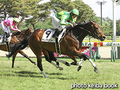 カラープリント(アルミ枠なし)2015年5月10日新潟9R 4歳上500万下(サトノフェアリー)