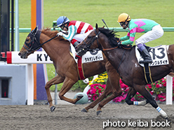 カラープリント(アルミ枠なし)2015年5月16日京都6R 3歳500万下(タキオンレディー)