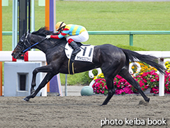 カラーパネル2015年5月16日京都8R 4歳上500万下(アグネスユニコーン)