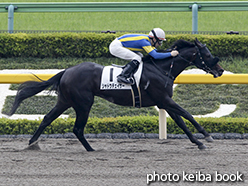 カラープリント(アルミ枠付き)2015年5月16日東京3R 3歳未勝利(シャドウチェイサー)