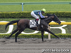 カラーパネル2015年5月16日東京8R 4歳上500万下(ノッキングオン)