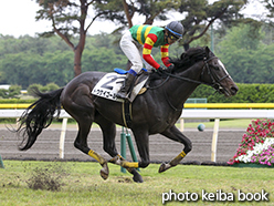 カラープリント(アルミ枠なし)2015年5月16日新潟1R 障害未勝利(トウケイゴールド)