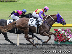 カラープリント(アルミ枠付き)2015年5月16日新潟2R 3歳未勝利(マルイチウラノス)