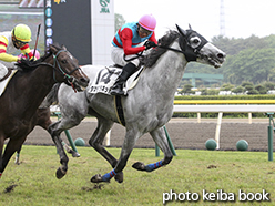 カラープリント(アルミ枠付き)2015年5月16日新潟4R 障害オープン(タマモプラネット)