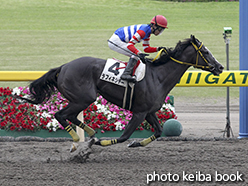 カラーパネル2015年5月16日新潟7R 4歳上500万下(ラフィネシチー)