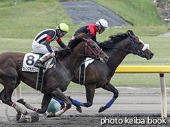 カラープリント(アルミ枠付き)2015年5月16日新潟8R 4歳上500万下(ハーストイーグル)