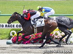 カラーパネル2015年5月17日京都6R 3歳500万下(トップディーヴォ)