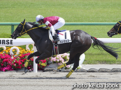 カラープリント(アルミ枠付き)2015年5月17日京都7R 4歳上500万下(エンジェヌー)