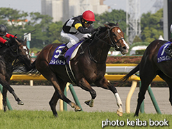 カラープリント(アルミ枠付き)2015年5月17日東京11R ヴィクトリアマイル(ストレイトガール)