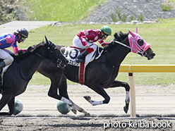 カラープリント(アルミ枠付き)2015年5月17日新潟1R 3歳未勝利(ピアレスピンク)