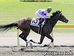 カラープリント(アルミ枠付き)2015年5月17日新潟2R 3歳未勝利(フライングニンバス)