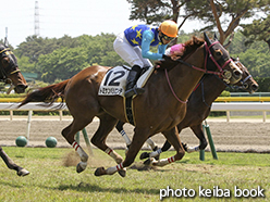 カラーパネル2015年5月17日新潟4R 障害未勝利(トミケンパシエンテ)