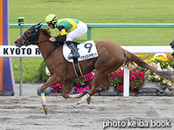 カラーパネル2015年5月23日京都1R 3歳未勝利(パヴェダイヤモンド)