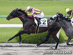 カラープリント(アルミ枠付き)2015年5月23日京都2R 3歳未勝利(ダイナミックショー)