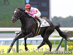 カラープリント(アルミ枠付き)2015年5月23日京都5R 3歳未勝利(ダイシンカレラ)